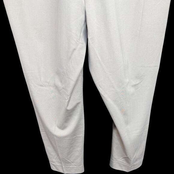 SUSAN‎ GRAVER Everyday Slim Leg Pants Beige Pull On Stretch 3X NWT Comfort - Picture 3 of 9